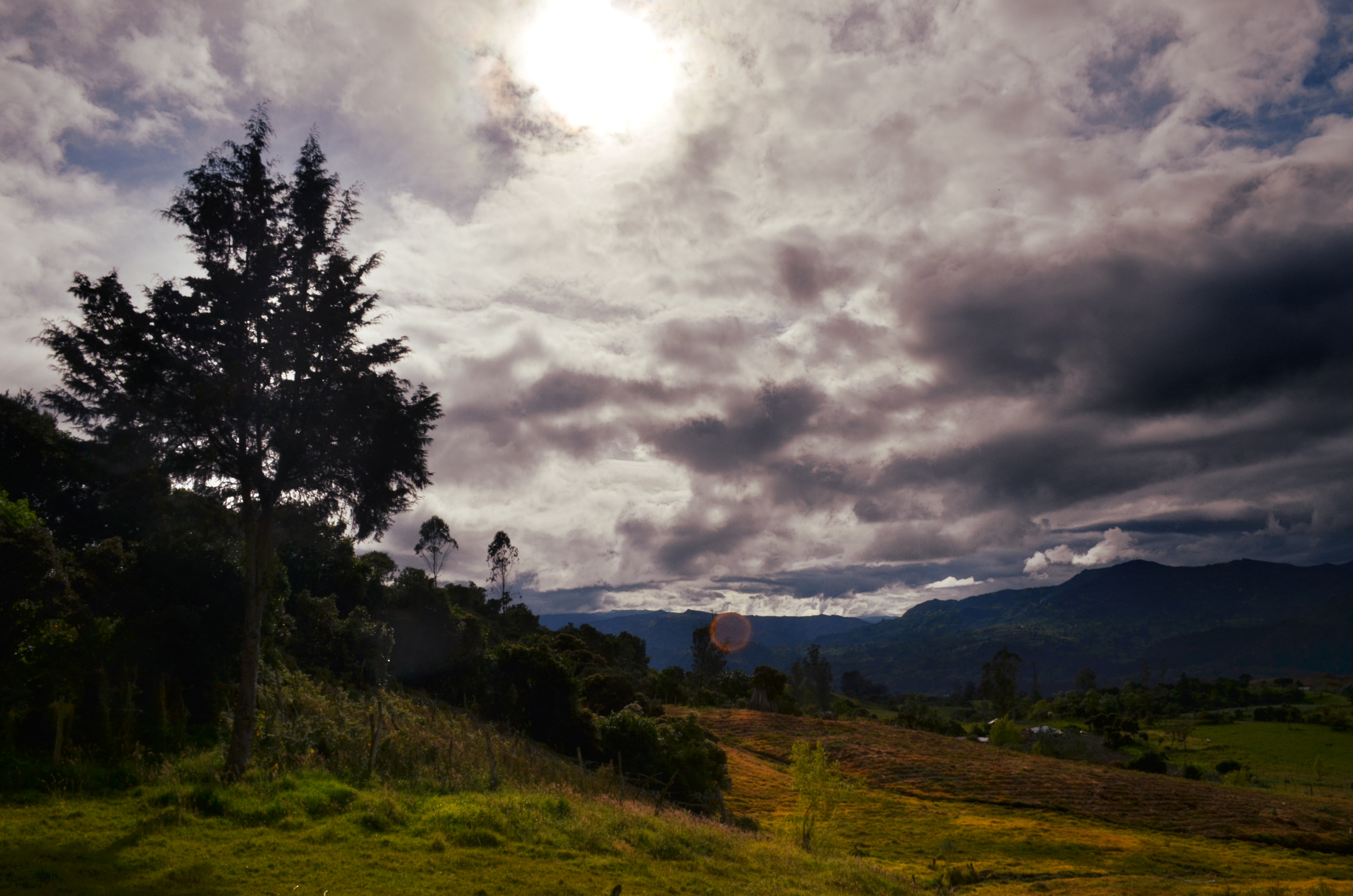 Suroriente de Boyacá una de las regiones del país con menos deforestación