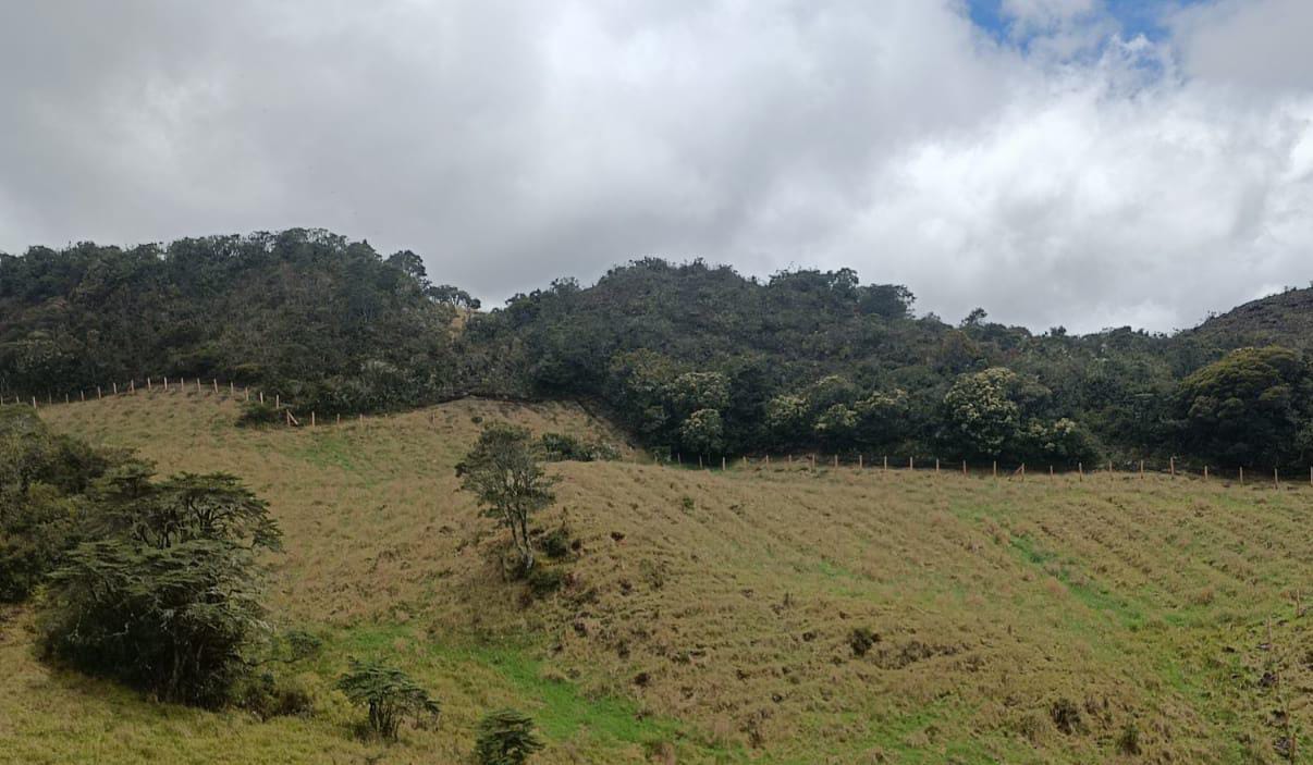 Deforestación en la jurisdicción de Corpochivor